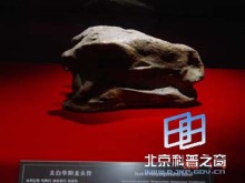 龍都珍品(一) - 自貢燈會(huì)彩燈,燈會(huì)彩燈界的行業(yè)門戶網(wǎng)站,聚合彩燈企業(yè)提供最全的彩燈會(huì)燈展花車信息,搜羅展會(huì)活動(dòng)信息和歷屆燈會(huì)集錦