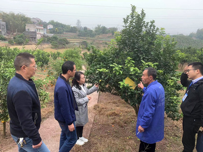 自貢市農(nóng)業(yè)農(nóng)村局 - 自貢市政府網(wǎng)站集約化平臺(tái)